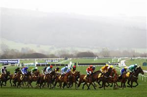 2024 Hunter Chase Tips - Best bets for the amateur's Gold Cup