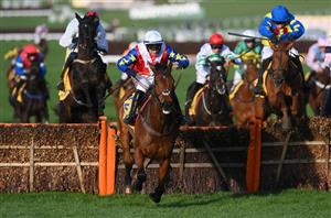 mares' novices hurdle cheltenham
