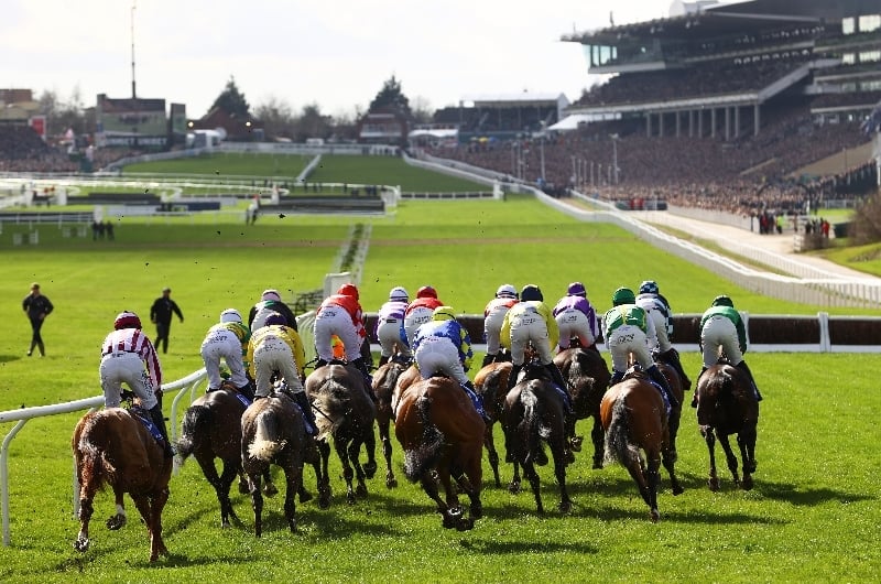 2025 Supreme Novices' Hurdle Tips Can our antepost pick win the opener?