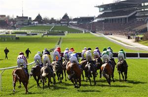 2024 Supreme Novices' Hurdle Tips - Can our ante-post pick win the opener?