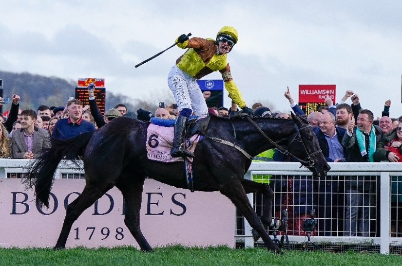2024 Cheltenham Gold Cup Live Stream Watch the Cheltenham race online