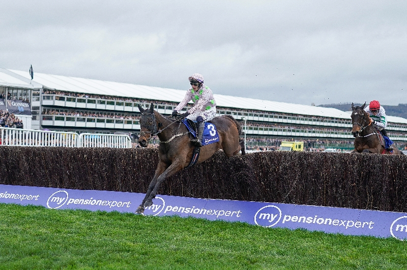 cheltenham cheltenham