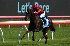 Coolmore Classic Barriers