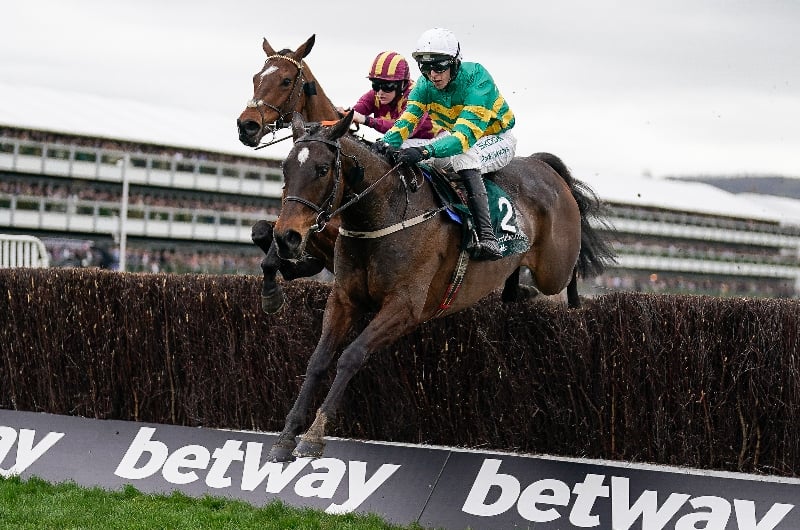 cheltenham