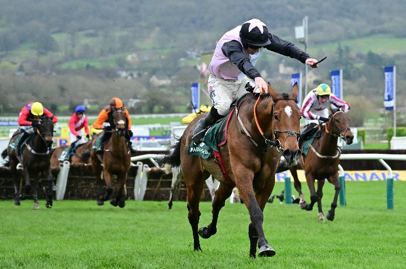 cheltenham cheltenham