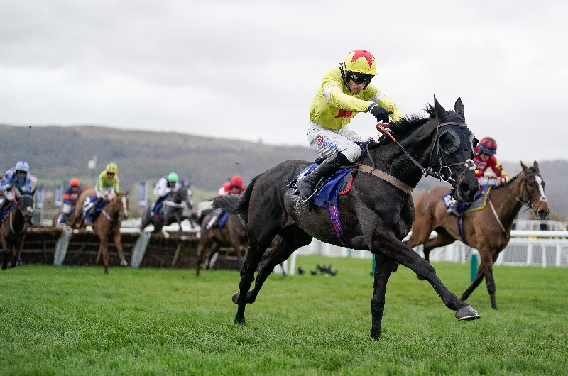 cheltenham cheltenham