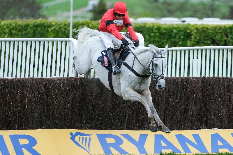 cheltenham cheltenham