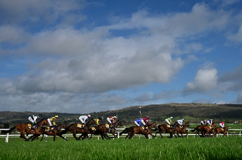 cheltenham