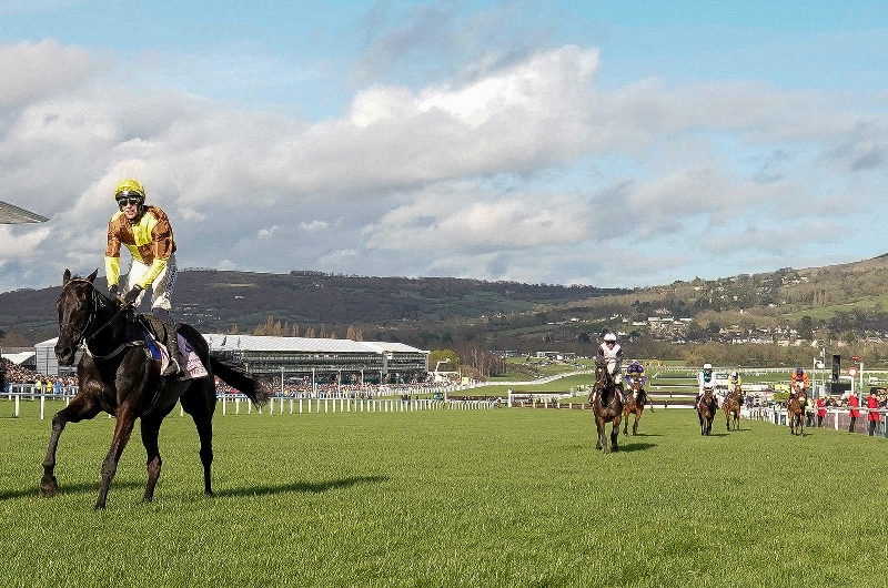 cheltenham