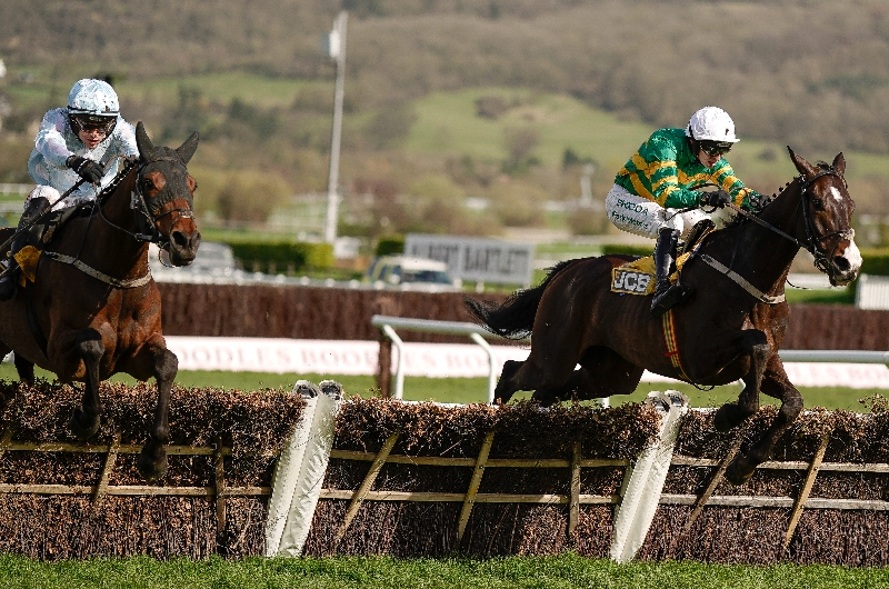 cheltenham
