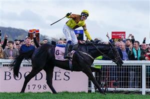 Galopin Des Champs Cheltenham Gold Cup 2024 Odds