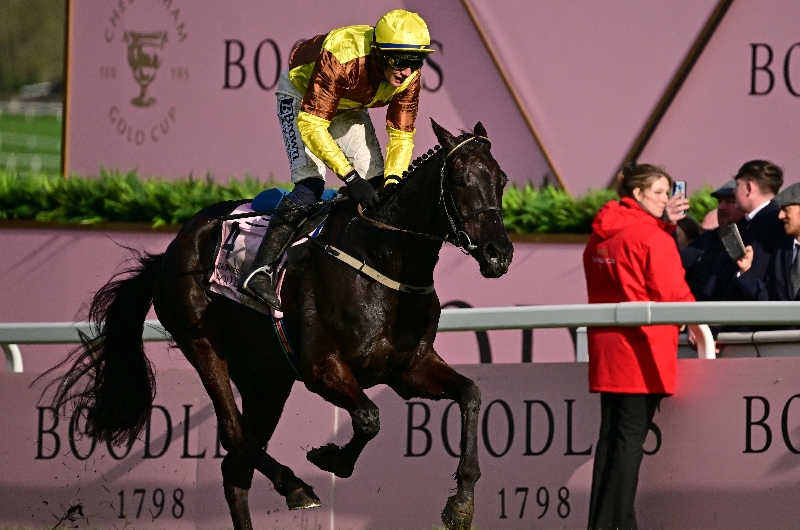 Cheltenham 2025 Dates Doris Germain