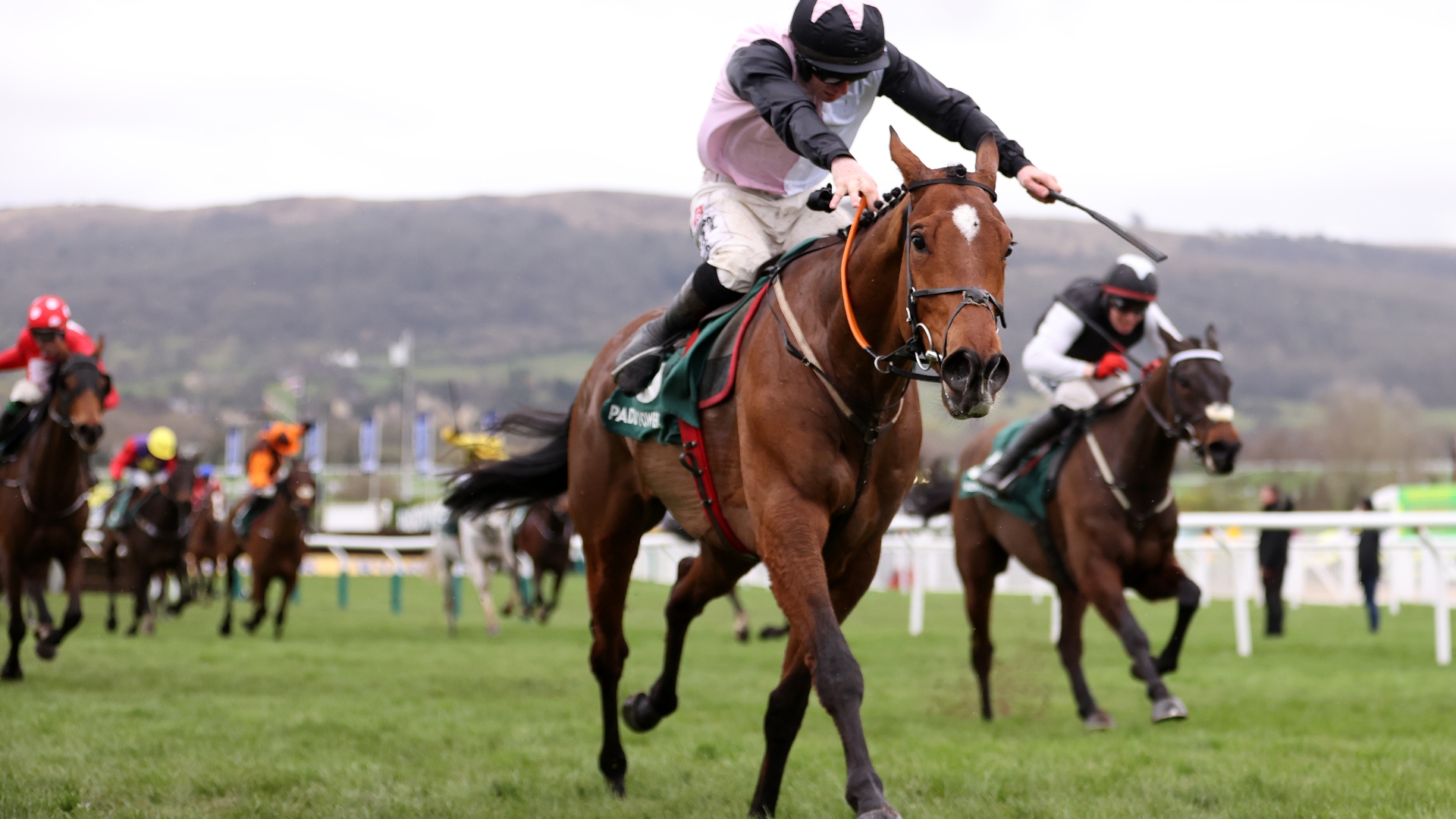 2025 Stayers' Hurdle Odds Teahupoo favourite to go backtoback