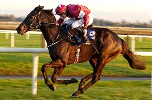 2024 Irish Grand National Tips - Elliott's novice a solid ante-post selection