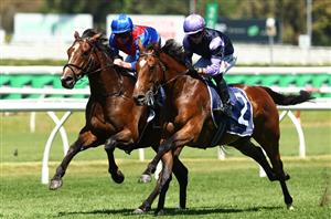 George Ryder Stakes Tips - Runner-by-Runner Guide for the Rosehill Group 1