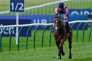 Ranvet Stakes Tips - Who will win the Rosehill Group 1?