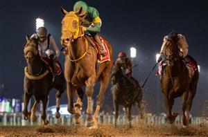 2024 Dubai World Cup Tips - Odds, draw and two selections for Meydan