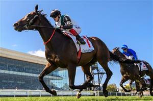 Australian Cup - Losing Bet Cash Back Up To $25 at Picklebet