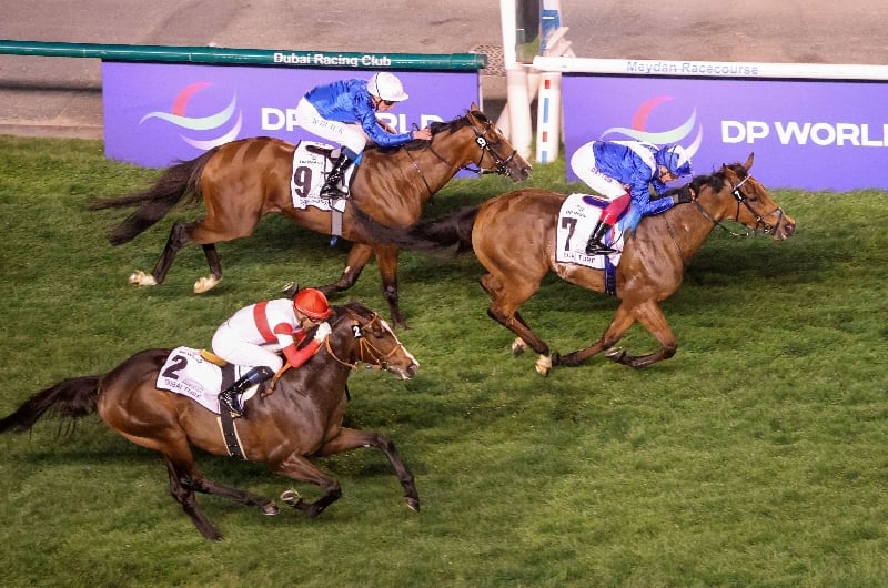lord north meydan lord north meydan