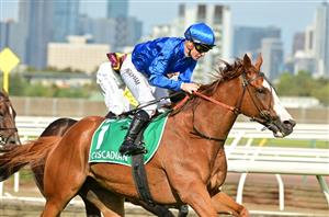 Australian Cup By Numbers - Facts, Figures & Betting Trends