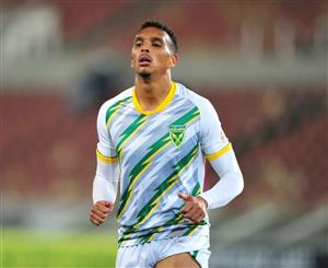 golden arrows
