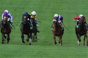 2024 1000 Guineas Odds - Ylang Ylang leads Fallen Angel in Newmarket betting