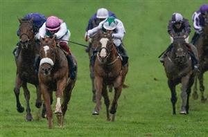 2000 Guineas Stats - What's The Best Lead-Up Race?