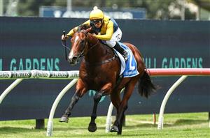 Inglis Sires' Tips - Runner-by-Runner Guide for the Randwick Group 1