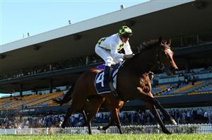TJ Smith Stakes Tips - Who will win the Randwick Group 1 sprint?