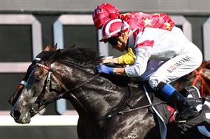 Doncaster Mile Tips - Complete guide to Randwick Group 1