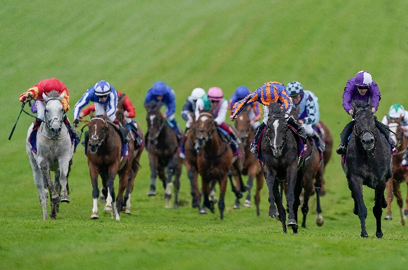 epsom derby epsom derby