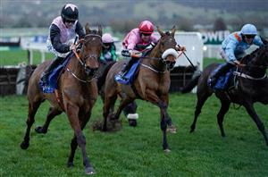 2024 Aintree Hurdle Odds - Bob Olinger favourite as Irish dominate market