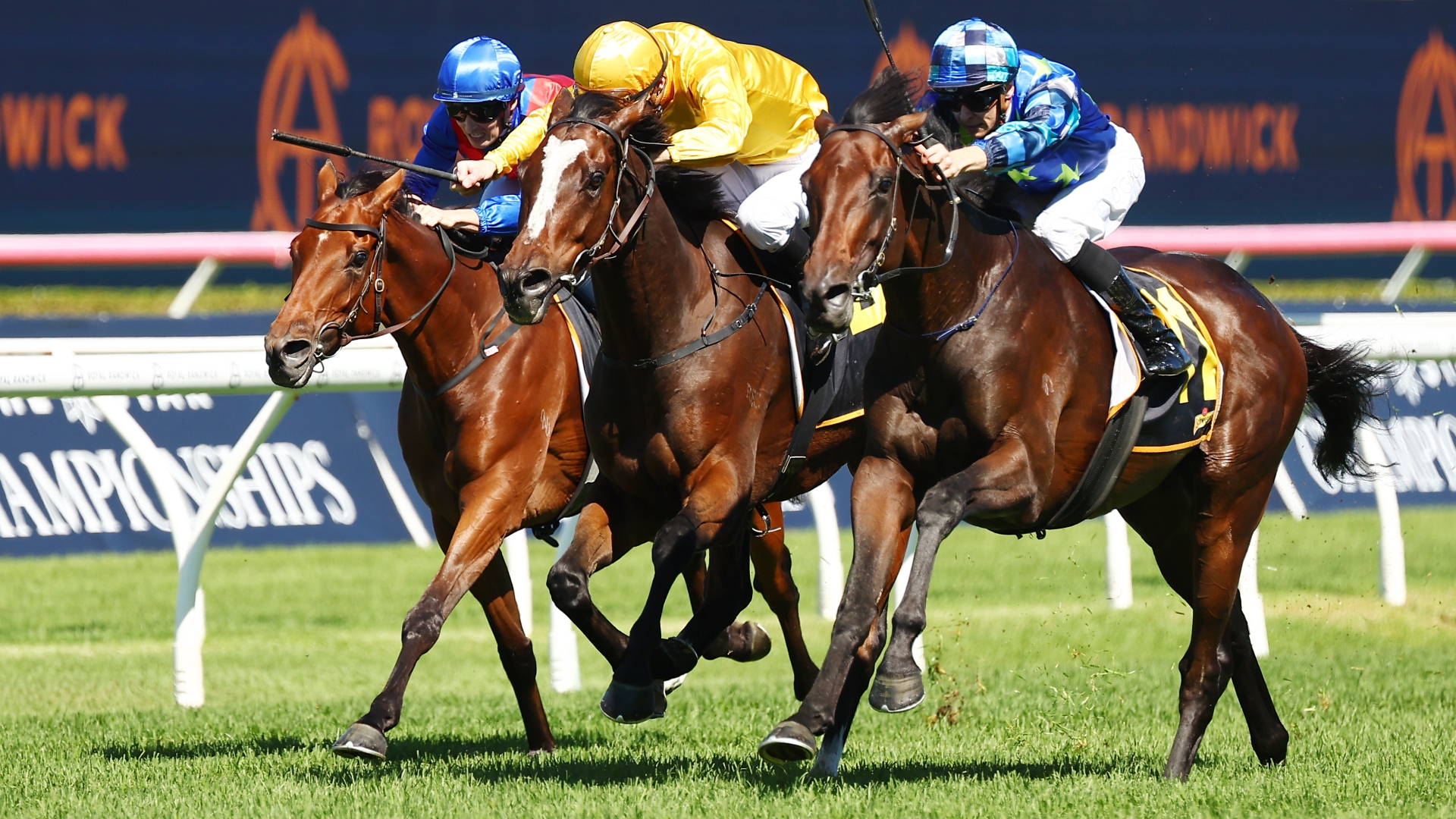 Sydney Cup Winner 2025 Odds Patti Jesselyn