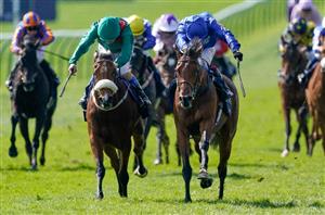 1000 Guineas Stats - What's The Best Trial?