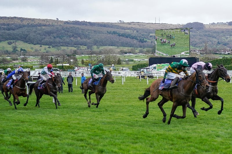 supreme novices hurdle