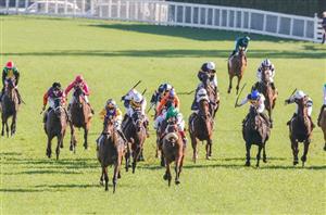 Sydney Cup Tips - Who will win the Randwick Group 1?