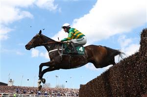 2024 Melling Chase Tips - Will Nicky's star take to this new trip?