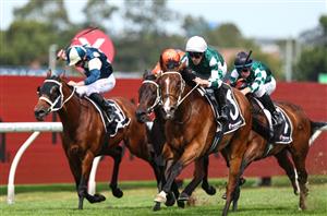 Big Bets for 13.04.2024