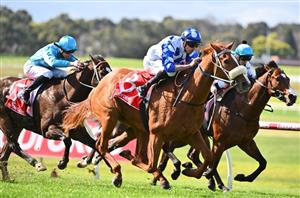 Australian Oaks Tips - Predictions and analysis for the Randwick Group 1