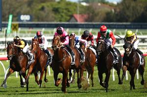 Big Bets Results - April 13