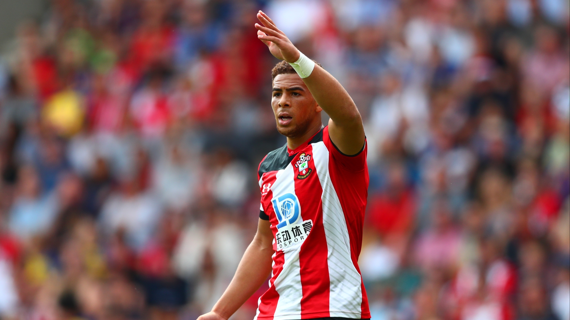 Southampton vs Preston Predictions & Tips Saints Home Momentum in the