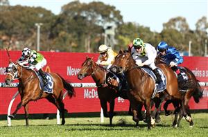 All Aged Stakes 2024 Barrier Draw & Final Field