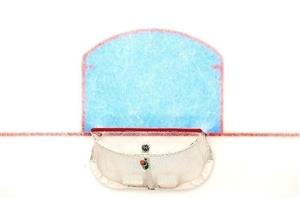 NHL hockey goal