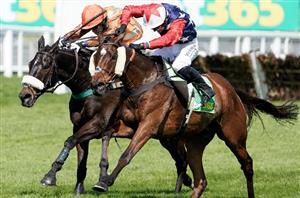 bet365 sandown