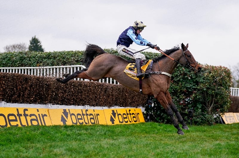 edwardstone sandown