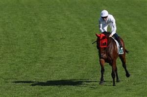 Australasian Oaks Tips - Runner-by-Runner Guide for the Morphettville Group 1