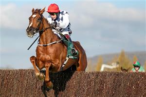 2024 Punchestown Champion Chase Tips - O'Brien's star worth backing