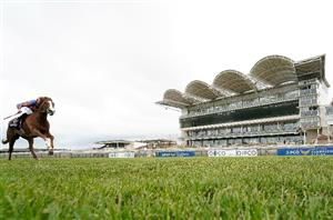 2024 1000 Guineas News - Stable Tour Quotes From Connections
