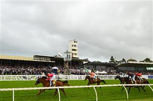 Warrnambool Tips for 20.04.2024