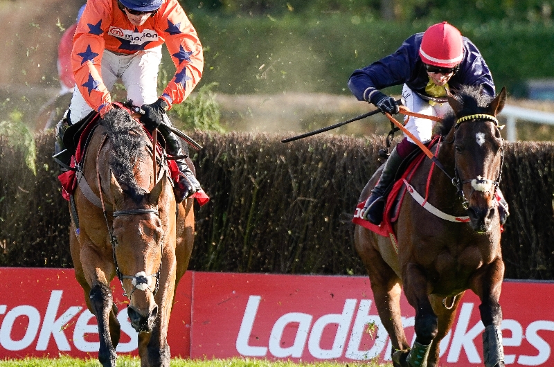 2024 Punchestown Gold Cup Live Stream Watch the Punchestown race online